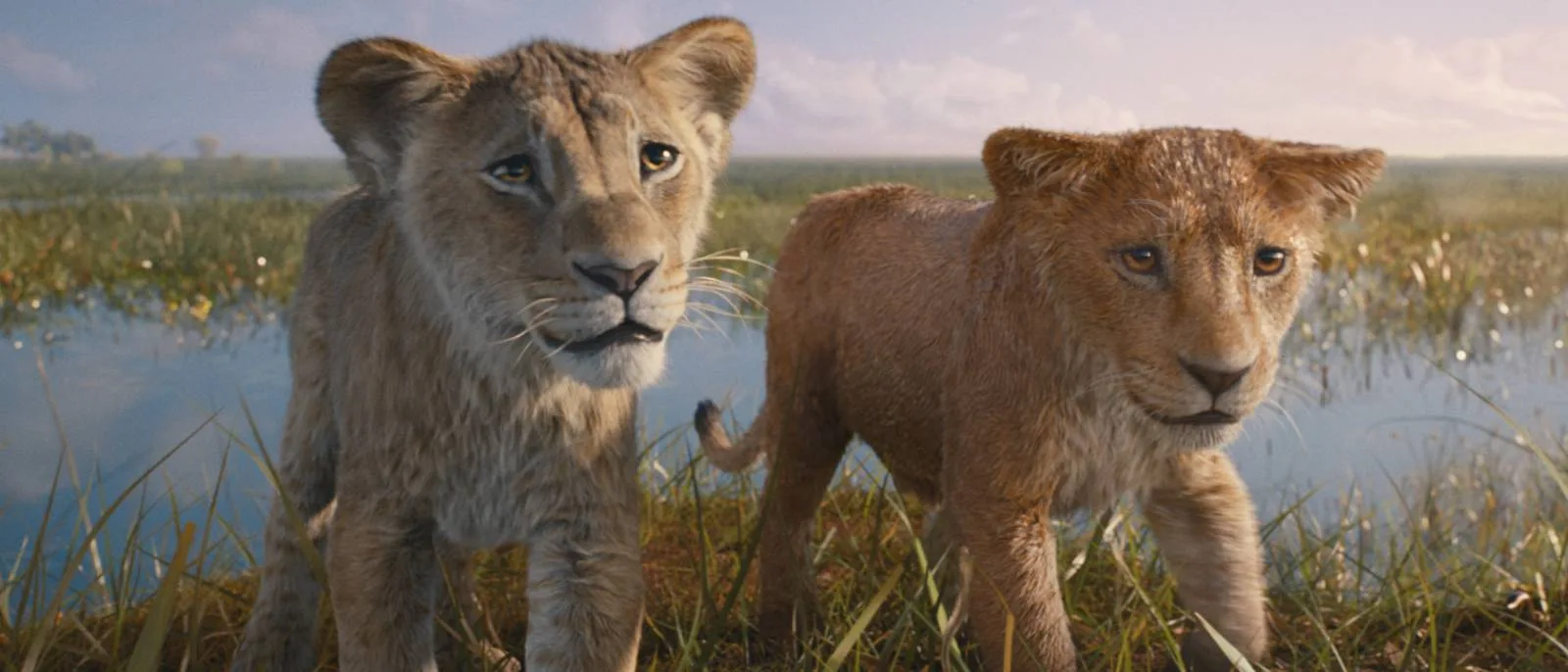 Mufasa key art