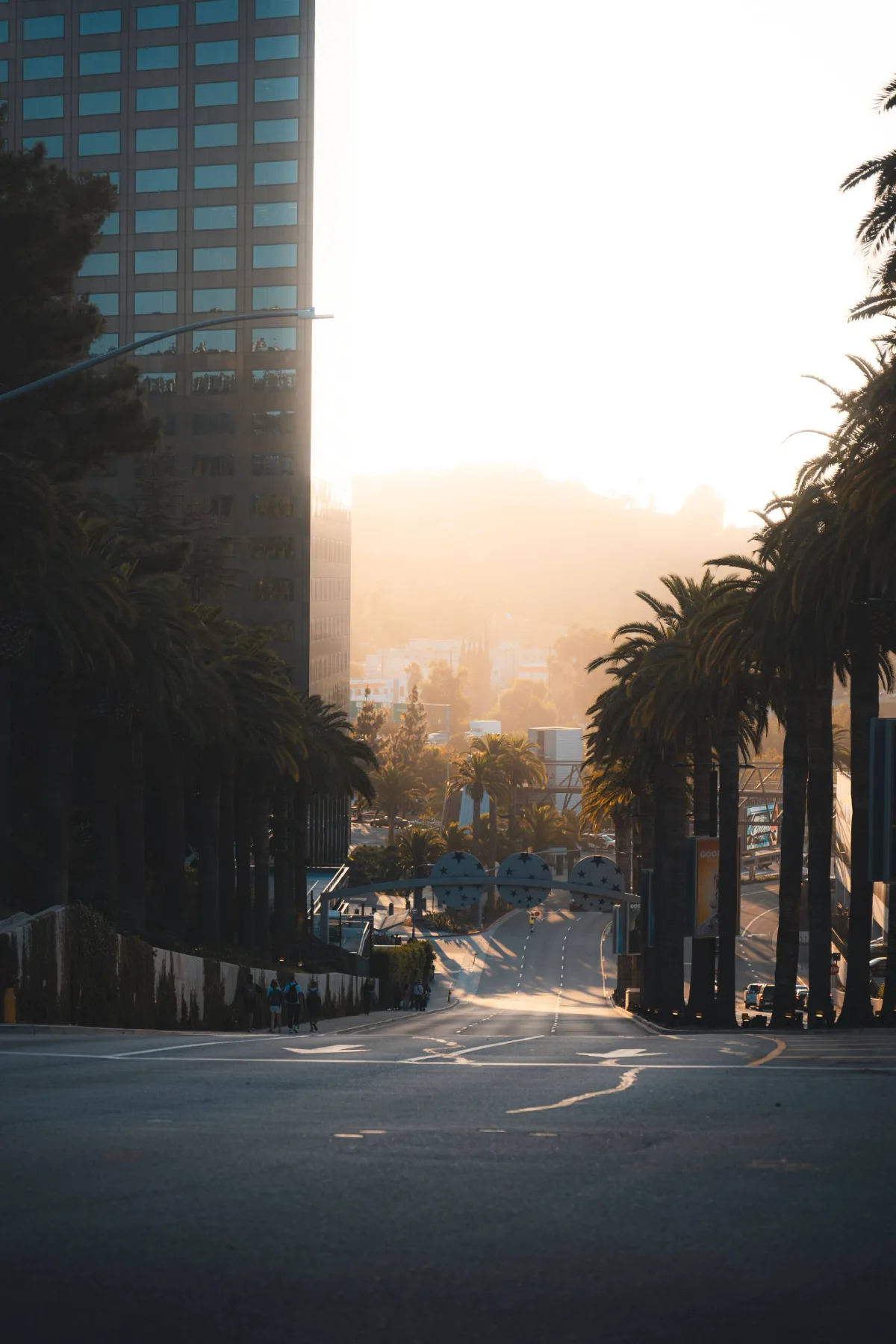 A palm-lined Los Angeles road falling away toward warm light at the horizon